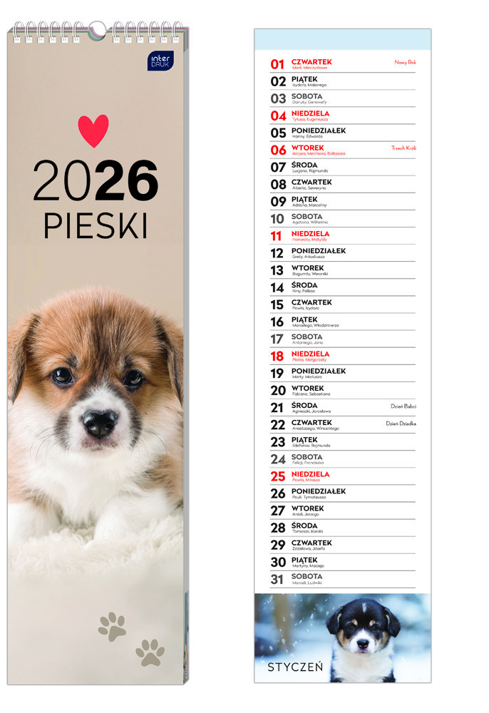 Kalendarz paskowy 13,5x50 cm Psy Interdruk